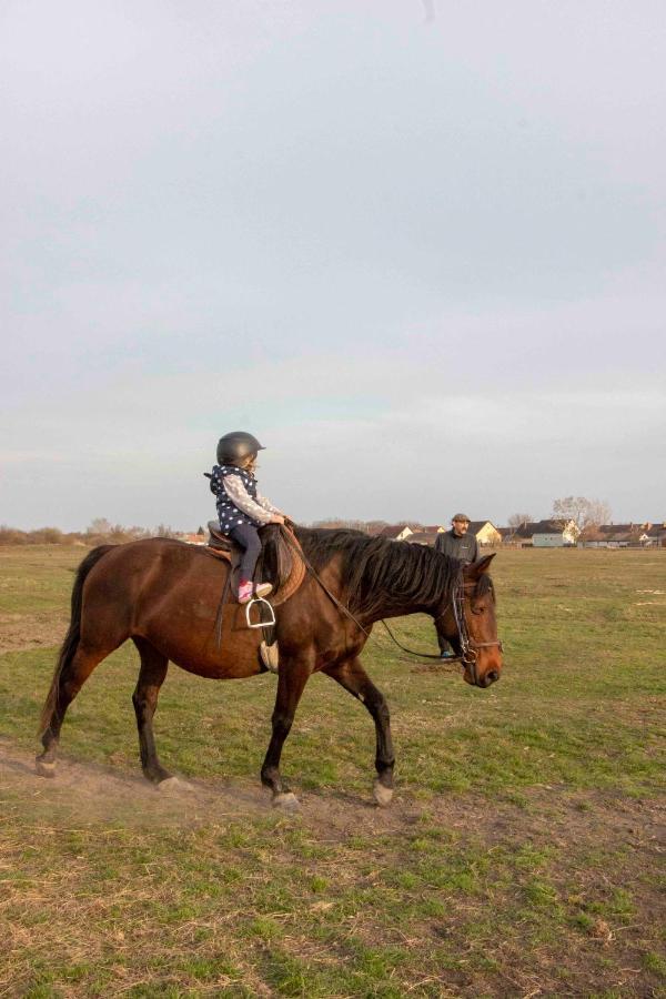 Hajdu Lovasudvar Hortobagy Bagian luar foto