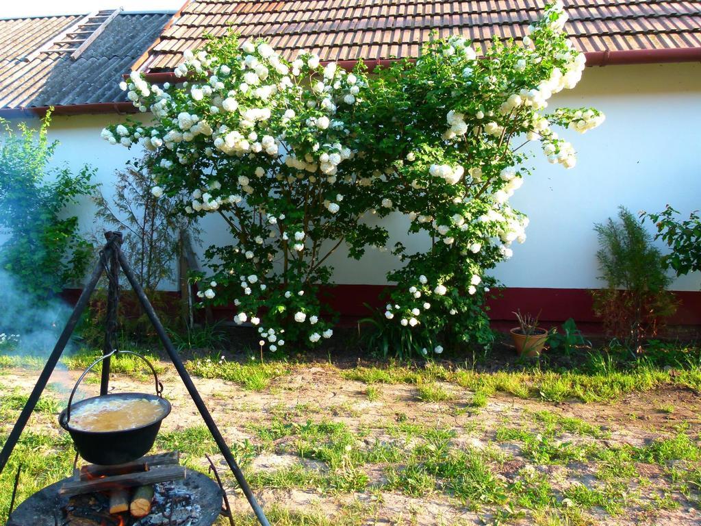 Hajdu Lovasudvar Hortobagy Bagian luar foto